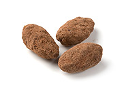 Chocolate Covered Almonds